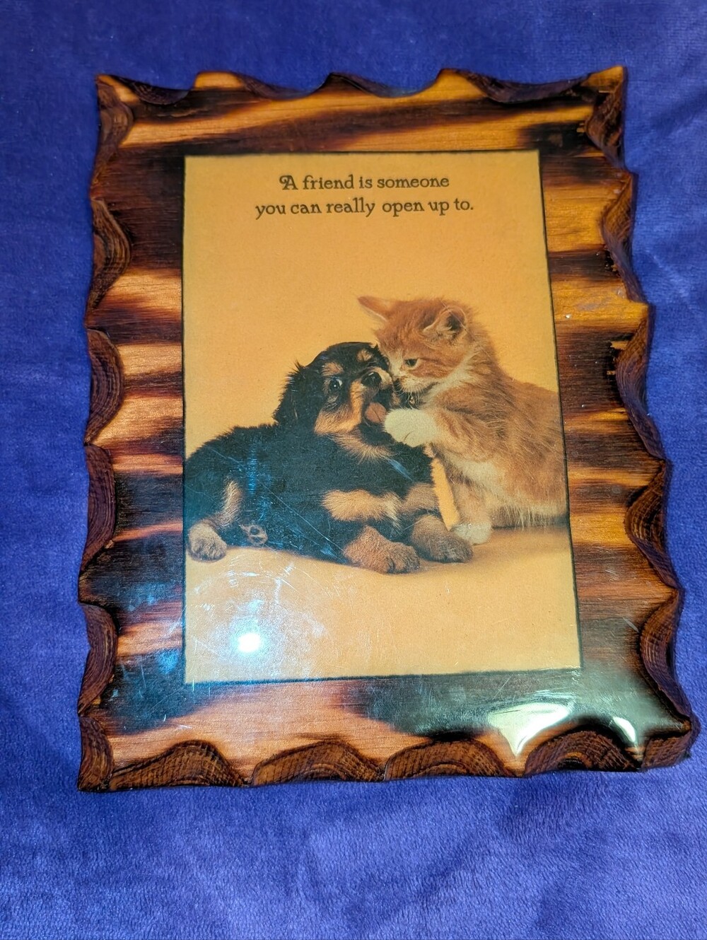 Wooden Pet Photo Finished Wall Decor with Kitten & Puppy Print - Brown